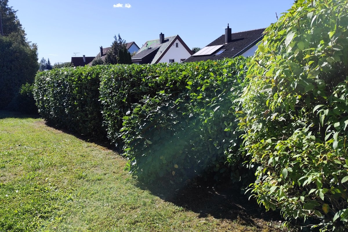 Sauerwald Hausmeisterservice Filderstadt